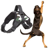 Large Dog Harness