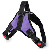 Large Dog Harness